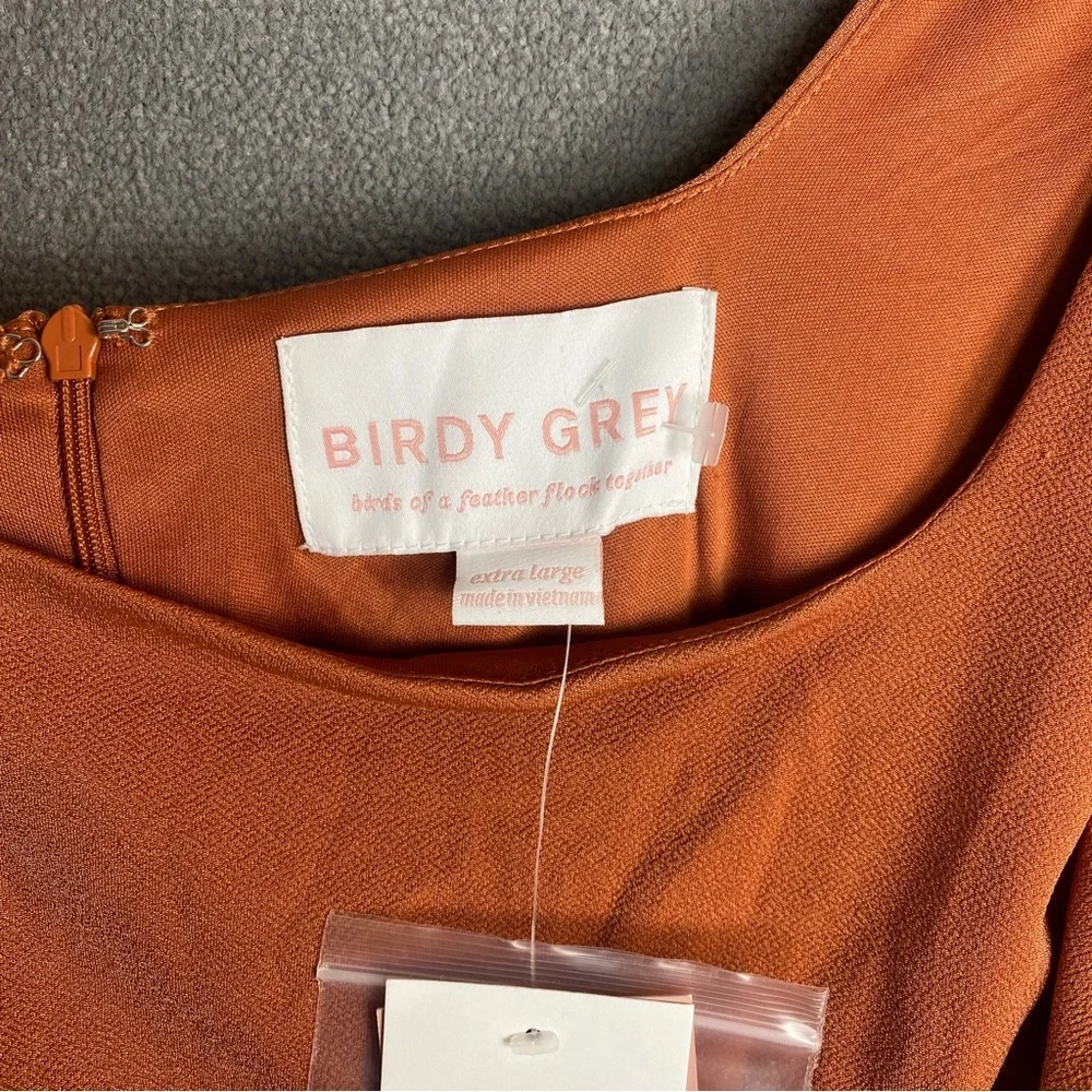 Birdy grey terracotta Alex dress size XL